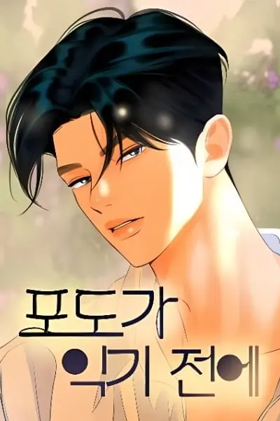 Trước Khi Mùa Nho Chín